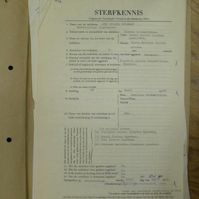 SDC13592