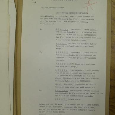 SDC13594