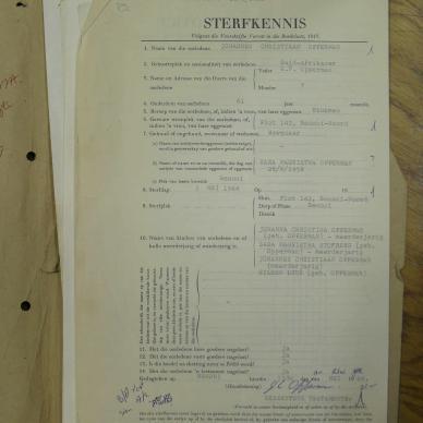SDC13560