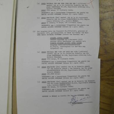 SDC14206