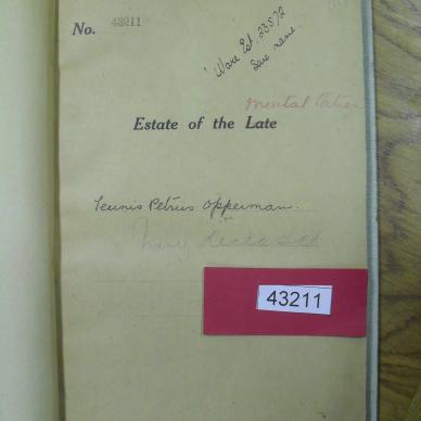 SDC10257