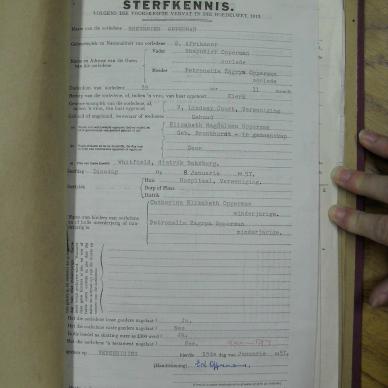 SDC13247