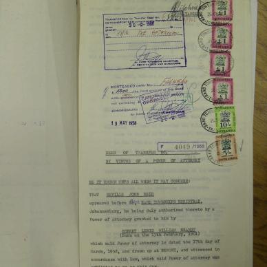 SDC13610