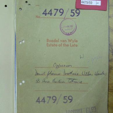 SDC13056