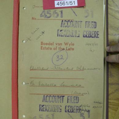 SDC10365