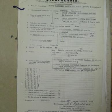 SDC12441
