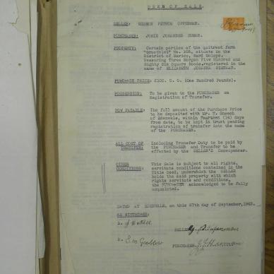 SDC13435