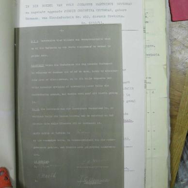 SDC12284