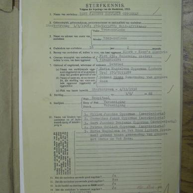 SDC13987