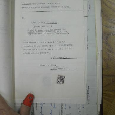 SDC11586
