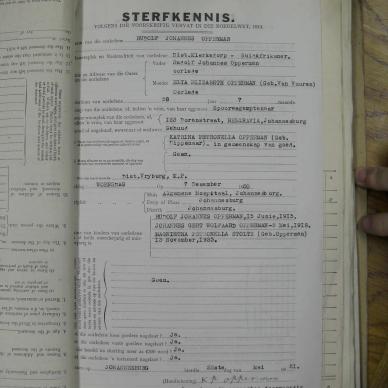 SDC10360