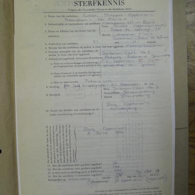 SDC13990