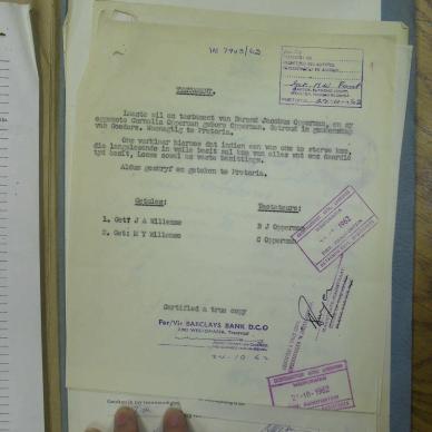 SDC13422