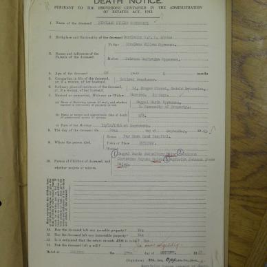 SDC16528