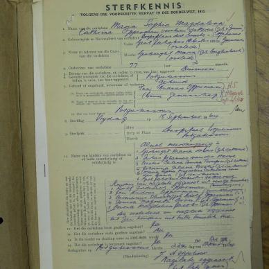 SDC13539