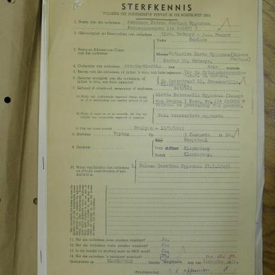SDC13581