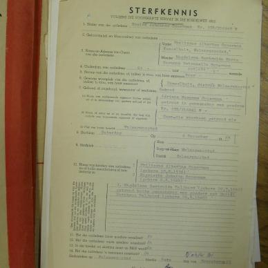 SDC13703