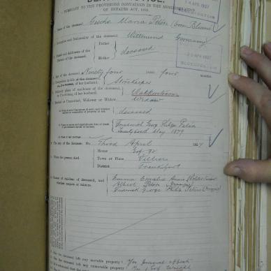 SDC10358