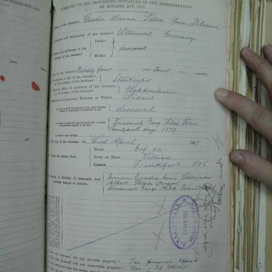SDC10359