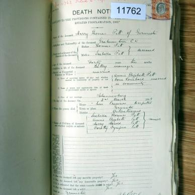 11762 PITT Harry Thomas _02