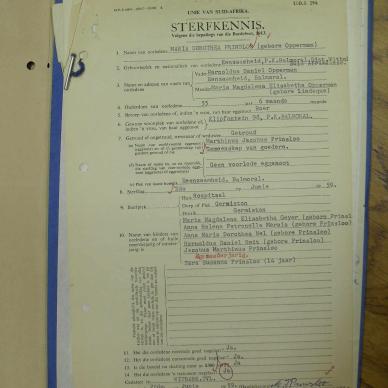 SDC12949