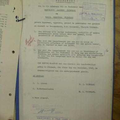 SDC12950