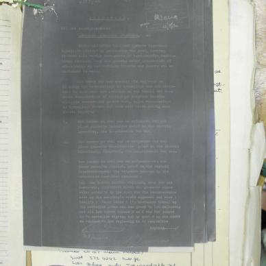 SDC12137