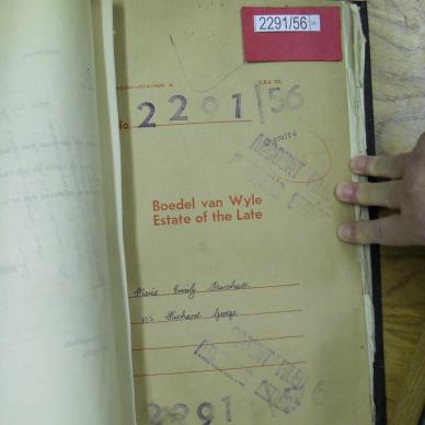 SDC10238