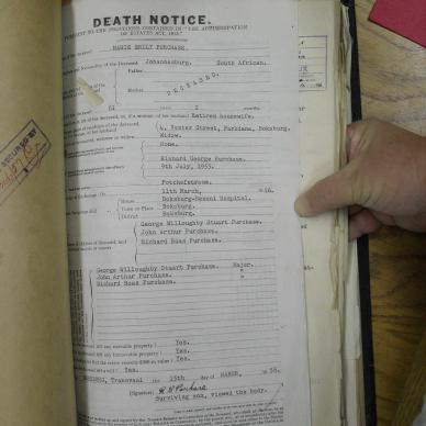 SDC10239