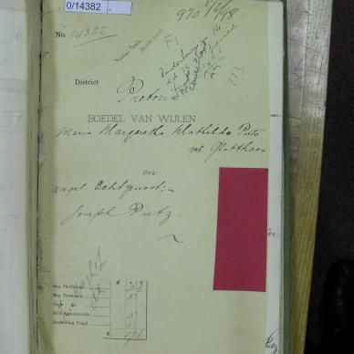 SDC10658