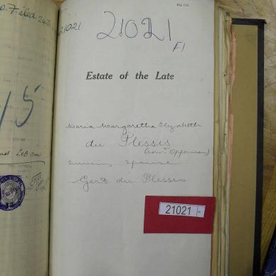 SDC10842