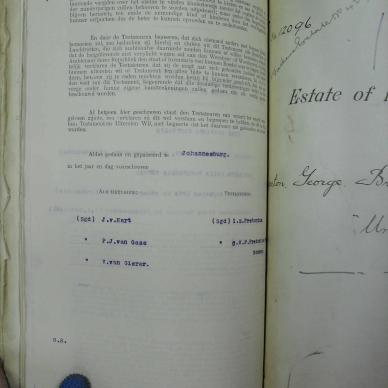 SDC10390