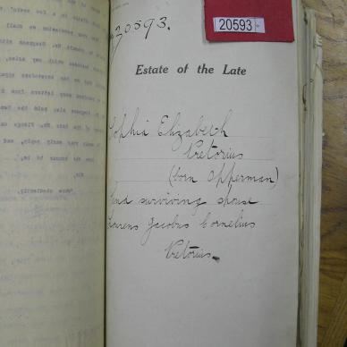 SDC10318