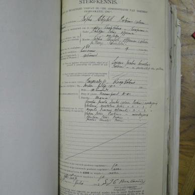 SDC10319