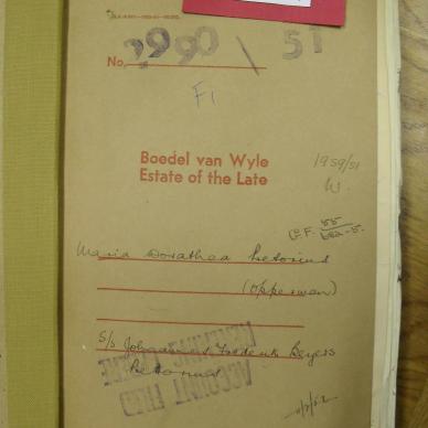 SDC10334