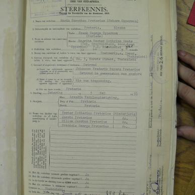 SDC10337