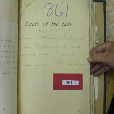 SDC10791