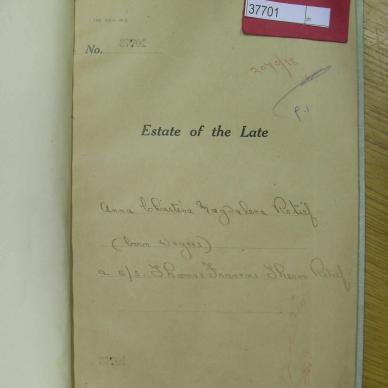 SDC10746