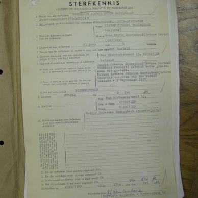 SDC14281