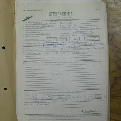 SDC19917