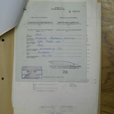 SDC19919