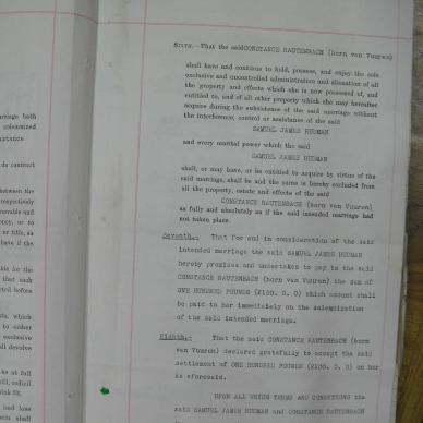 SDC10587