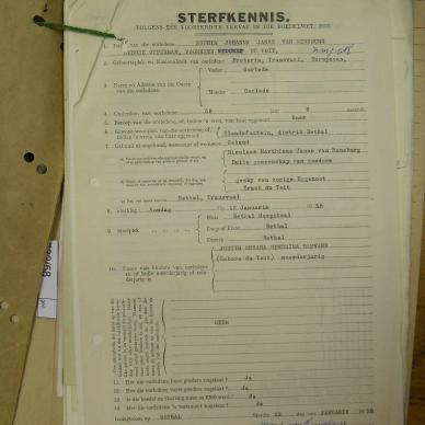 SDC12424