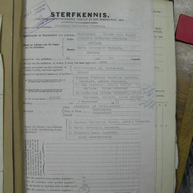 SDC12304