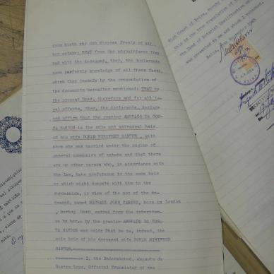 SDC10399