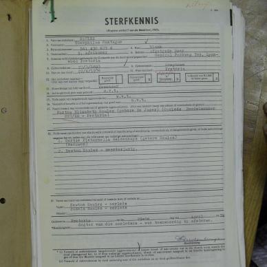 SDC10656