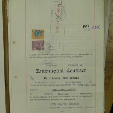 SDC10398