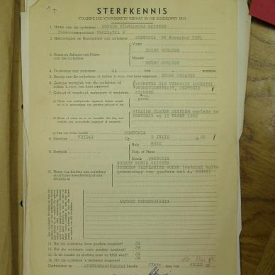 SDC10549