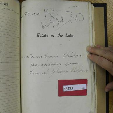 SDC10838