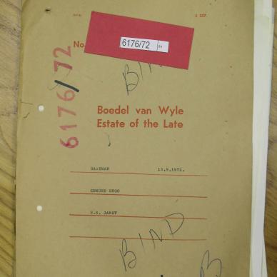 SDC10341